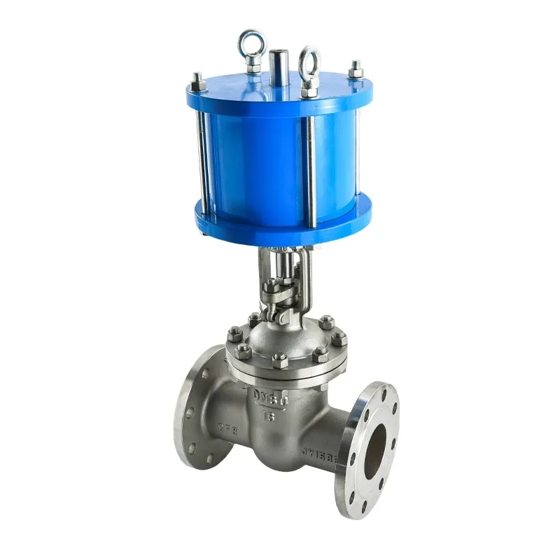 Pneumatic Linear Motion Gate Valve 1