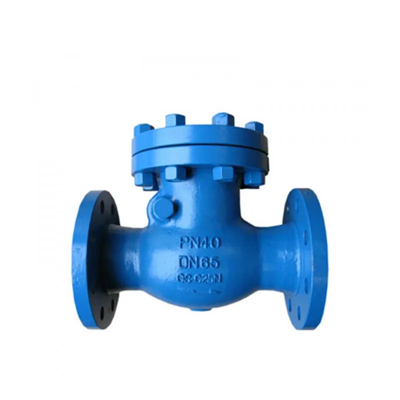 Swing type cast steel flange check valve 1