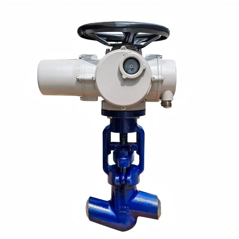 Electric Power Station Globe Valve (DK-J961Y) - High Pressure Butt Weld